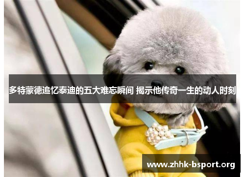 多特蒙德追忆泰迪的五大难忘瞬间 揭示他传奇一生的动人时刻