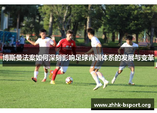 博斯曼法案如何深刻影响足球青训体系的发展与变革