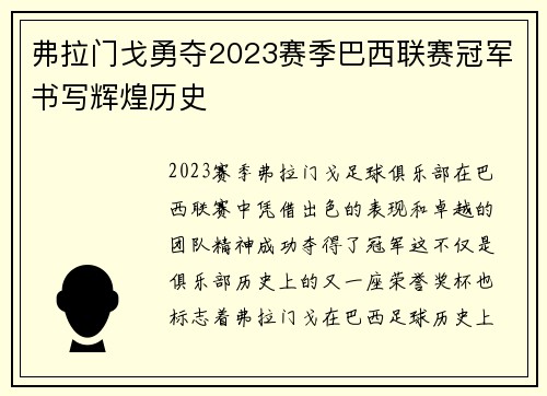 弗拉门戈勇夺2023赛季巴西联赛冠军书写辉煌历史