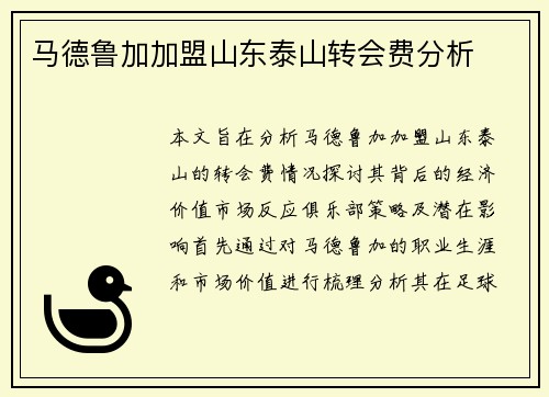 马德鲁加加盟山东泰山转会费分析