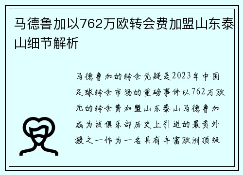 马德鲁加以762万欧转会费加盟山东泰山细节解析